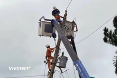 Những công nhân Đội Quản lý điện Đơn Dương miệt mài sửa chữa lưới điện, sớm đưa điện về phục vụ người dân sau trận lũ lịch sử. (Ảnh: PV/Vietnam+)