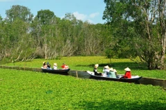 Khách du lịch tham quan rừng tràm Trà Sư, thị xã Tịnh Biên, An Giang. (Ảnh: Thanh Sang/TTXVN)