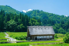 Shirakawago nằm ẩn mình trong không gian xanh mướt tại dãy núi Hida. (Ảnh: Xuân Giao/TTXVN)
