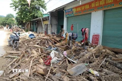 Nhiều cửa hàng kinh doanh tạp hóa, dịch vụ vẫn phải đóng cửa do lượng gỗ, thân cây phủ kín cửa ra vào. (Ảnh: Xuân Tiến/TTXVN)