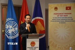 Đại sứ Mai Phan Dũng phát biểu tại buổi tọa đàm. (Ảnh: Anh Hiển/TTXVN)