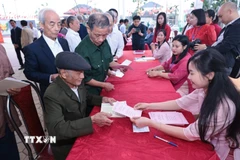 Cử tri nhận phiếu bầu cử. (Ảnh: Trần Việt/TTXVN)