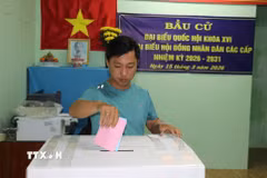 Người dân đi bỏ phiếu sớm tại xã Tân Phú Đông, tỉnh Đồng Tháp. (Ảnh: Hữu Chí/TTXVN)
