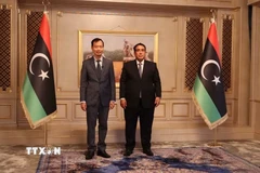 Đại sứ Việt Nam tại Ai Cập kiêm nhiệm Libya Nguyễn Nam Dương trình Thư ủy nhiệm của Chủ tịch nước Lương Cường lên Chủ tịch Hội đồng Tổng thống Libya Muhammad Al-Menfi. (Nguồn: TTXVN phát)