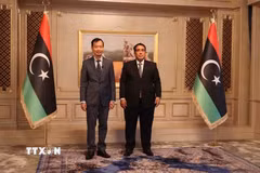 Đại sứ Việt Nam tại Ai Cập kiêm nhiệm Libya Nguyễn Nam Dương trình Thư ủy nhiệm của Chủ tịch nước Lương Cường lên Chủ tịch Hội đồng Tổng thống Libya Muhammad Al-Menfi. (Nguồn: TTXVN phát)