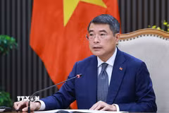 Chiều 20/5/2026, tại Hà Nội, Thủ tướng Chính phủ Lê Minh Hưng điện đàm với Thủ tướng New Zealand Christopher Luxon. (Ảnh: Dương Giang/TTXVN)