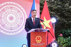 Đại sứ Dương Hoài Nam phát biểu tại buổi lễ. (Nguồn: VOV)