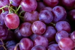 Ăn một ít lớp phấn trắng cùng với nho không hề gây hại cho sức khỏe. Ngay cả khi bạn có thói quen thử nho ngay tại siêu thị, lớp phấn ấy cũng không ảnh hưởng gì. (Nguồn: Getty Images)