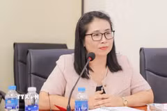 Tiến sỹ Lê Phương Hòa, Phó Viện trưởng Viện Nghiên cứu Nam Á, Tây Á và châu Phi (Viện Hàn lâm Khoa học xã hội Việt Nam). (Ảnh: Thanh Hương/TTXVN)