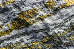 Ảnh minh họa. (Nguồn: CFP)