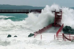 Cơn bão Halong đã áp sát quần đảo Izu, phía Nam Tokyo (Nhật Bản). (Nguồn: Getty Images)