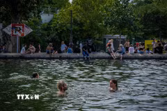 Người dân bơi trên kênh Saint-Martin để giải nhiệt trong đợt nắng nóng tại thủ đô Paris (Pháp). (Ảnh: THX/TTXVN phát)