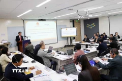 Quang cảnh lễ khai mạc chương trình. (Ảnh: Xuân Khu/TTXVN)