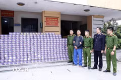 Đối tượng Trần Văn Trí và số tang vật bị cơ quan Công an thu giữ. (Ảnh: TTXVN phát)