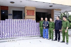 Đối tượng Trần Văn Trí và số tang vật bị cơ quan Công an thu giữ. (Ảnh: TTXVN phát)
