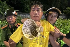 Đối tượng Hòa bị bắt giữ. (Ảnh: TTXVN phát)