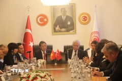 Phó Chủ tịch Quốc hội Nguyễn Đức Hải hội đàm với Phó Chủ tịch Quốc hội Thổ Nhĩ Kỳ Celal Adan. (Ảnh: Dương Hoa/TTXVN)