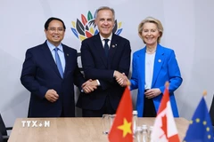 Thủ tướng Phạm Minh Chính tham dự cuộc gặp giữa Thủ tướng Canada Mark Carney và Chủ tịch Ủy ban châu Âu (EU) Ursula von der Leyen về Hiệp định Đối tác Toàn diện và Tiến bộ xuyên Thái Bình Dương (CPTPP). (Ảnh: Dương Giang/TTXVN)