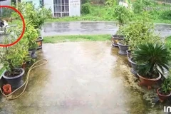 Hai nạn nhân (khoanh đỏ) và khu vực xảy ra sự cố thương tâm. (Ảnh: TTXVN phát)