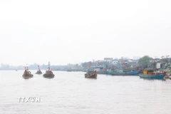 (Ảnh minh họa: Xuân Tiến/TTXVN)