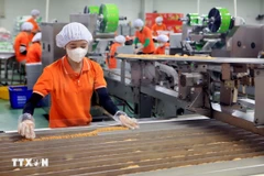 Kinh tế tư nhân được đặt nhiều kỳ vọng bứt phá và phát triển, đưa kinh tế đất nước vững mạnh bước vào kỷ nguyên mới. (Ảnh: Thế Duyệt/TTXVN)