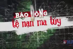Báo động tệ nạn ma túy trong một bộ phận người của công chúng