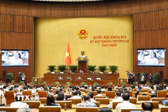 Quang cảnh phiên họp chiều 7/8. (Ảnh: Doãn Tấn/TTXVN)