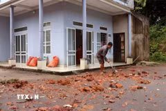 Người dân tranh thủ dọn dẹp đất đá, bùn đất để sớm khôi phục sinh hoạt. (Ảnh: Đức Thọ/TTXVN)