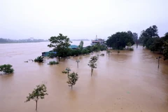 Trên sông Thao, sông Lô, các sông nhỏ ở khu vực Bắc Bộ và Thanh Hóa có khả năng xuất hiện 1 đợt lũ, biên độ lũ lên trên các sông từ 2-5m. (Ảnh: Quang Cường/TTXVN)