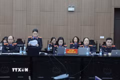 Đại diện Viện Kiểm sát giữ quyền công tố trình bày bản luận tội tại phiên tòa. (Ảnh: Kim Anh/TTXVN)