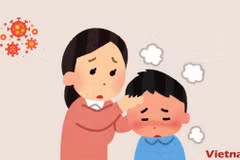 Ảnh minh họa. (Nguồn: Vietnam+)