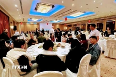 Quang cảnh chương trình Tết Nguyên đán Bính Ngọ tại Công ty Nitsiakos (Hy Lạp) dành cho lao động Việt Nam. (Ảnh: ĐSQ Việt Nam tại Hy Lạp/TTXVN phát)