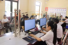 Sau một năm thực hiện mô hình chính quyền địa phương hai cấp, xã Việt Hồng tiếp nhận 5.484 hồ sơ, trong đó có 5.480 hồ sơ giải quyết trước hạn, đạt trên 99,9%. (Ảnh: Đinh Thùy/TTXVN)