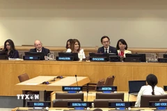 Đại sứ Đỗ Hùng Việt, Trưởng Phái đoàn thường trực Việt Nam tại Liên hợp quốc, chủ trì phiên họp điều phối. (Nguồn: TTXVN phát)