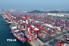 Cảng hàng hóa ở tỉnh Sơn Đông, Trung Quốc. (Ảnh: THX/TTXVN)