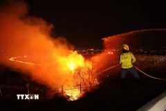 Ảnh minh họa.( Ảnh: THX/TTXVN)