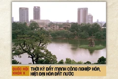 Quốc hội khóa X: Thời kỳ đẩy mạnh công nghiệp hóa, hiện đại hóa đất nước