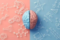 Ảnh minh họa. (Nguồn: Getty Images)