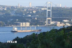 Tàu chở ngũ cốc di chuyển qua Eo biển Bosphorus ở Istanbul, Thổ Nhĩ Kỳ. (Nguồn: THX/TTXVN)