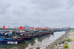(Ảnh minh họa. Hoàng Ngà/TTXVN)