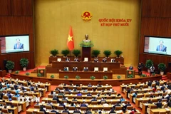 Các đại biểu Quốc hội trong kỳ họp lần thứ 10, Quốc hội khóa XV. (Ảnh: Doãn Tấn/TTXVN)