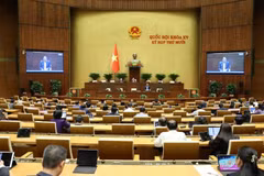 Toàn cảnh phiên họp. (Ảnh: Trần Huấn/Vietnam+)