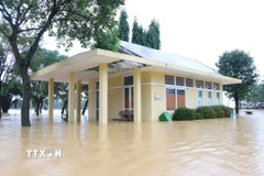 Mực nước trên sông Hương, thành phố Huế đang tăng dần, khiến công viên ở bờ Nam sông Hương bị ngập sâu hơn chiều 2/11. (Ảnh: Nguyên Lý/TTXVN)