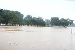 Mực nước trên sông Hương, thành phố Huế đang tăng dần khiến cồn Dã Viên bị ngập trở lại chiều qua, ngày 2/11. (Ảnh: Nguyên Lý/TTXVN)