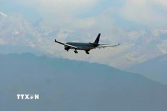 Máy bay của hãng hàng không Qatar Airways. (Nguồn: THX/TTXVN)