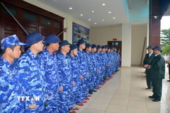 Ảnh minh họa. (Nguồn: TTXVN phát)