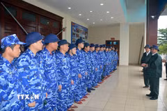 Ảnh minh họa. (Nguồn: TTXVN phát)