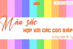 12 con giáp trong năm Ất Tỵ nên mặc đồ màu gì để mang lại may mắn?