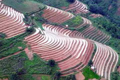 Ruộng bậc thang tại xã Xím Vàng, huyện Bắc Yên, tỉnh Sơn La. (Ảnh: Quang Quyết/TTXVN)