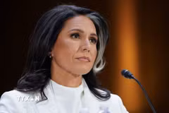 Giám đốc Tình báo Quốc gia Mỹ (DNI) Tulsi Gabbard. (Ảnh: Reuters/TTXVN)